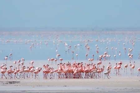 Lake Manyara