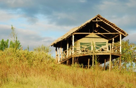 Ngorongoro