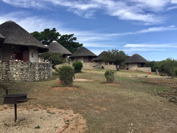 Rondavels in Addo Rest Camp | Addo Elephant Park