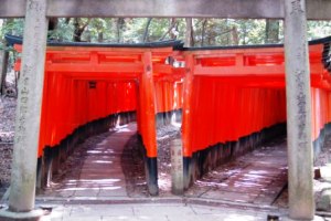 Kyoto | Inari Torii's
