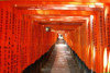 Kyoto