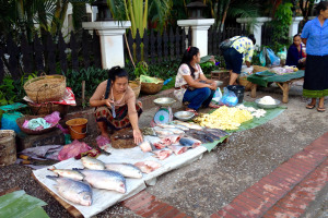 Luang Prabang | Ochtend markt