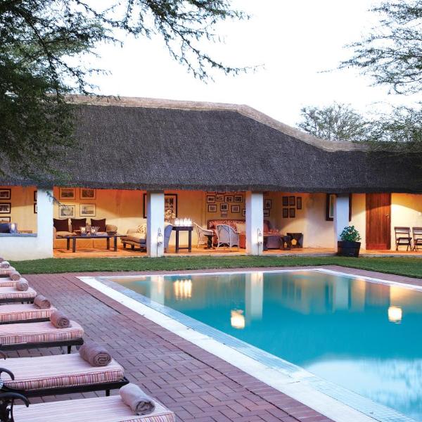 Hotels in Addo Elephant