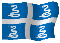 Vlag Martinique