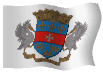 Vlag St. Bartholomeus