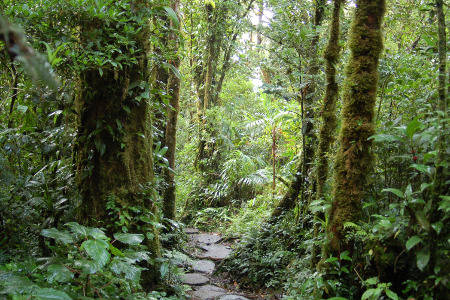 Reisgids Costa Rica | Monteverde 