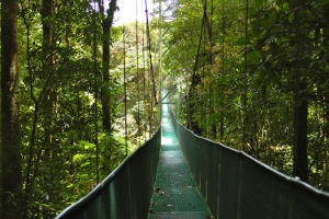 Monteverde | Skywalk