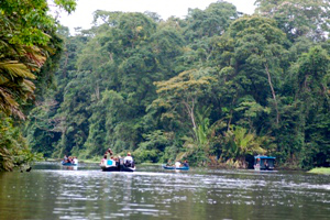 Tortuguero
