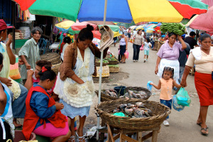 Masaya Mercado Ernesto Fernadez
