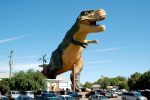 Drumheller | Giant Cedar boardwalk trail