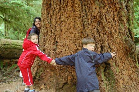 Pacific Rim | Rondreis Canada