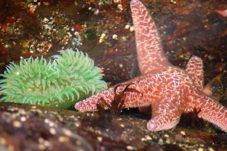 Pacific Rim | Rondreis Canada