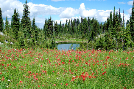 Revelstoke