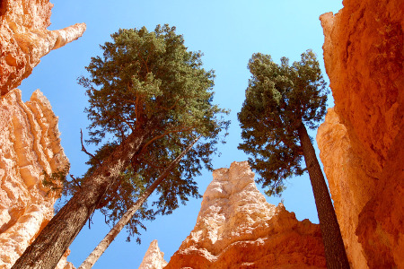 Bryce Canyon