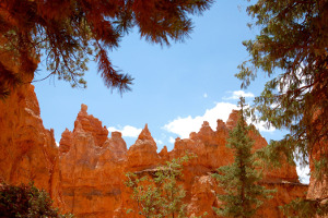 Bryce Canyon | Rondreis Zuidwest Amerika