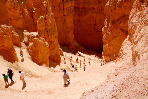 Bryce Canyon | Rondreis Zuidwest Amerika