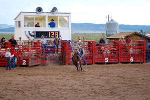 Bryce Canyon Rodeo | Rondreis Zuidwest Amerika