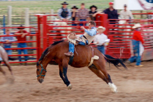 Bryce Canyon Rodeo | Rondreis Zuidwest Amerika