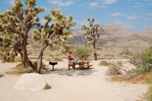 Joshua Tree NP | Rondreis Zuidwest Amerika