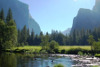 Yosemite NP