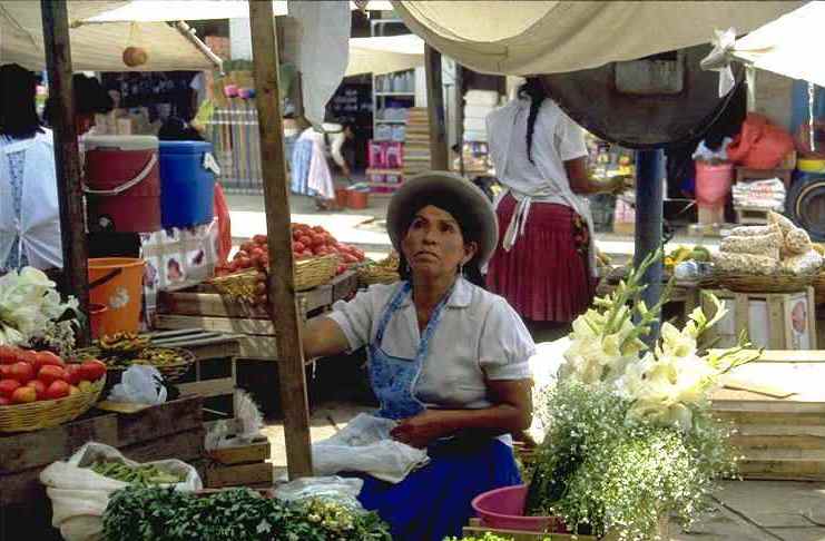 Eerst coca inkopen op de markt