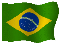 Vlag van Brazilie