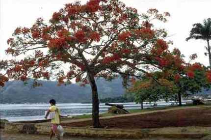 Het pittoreske Paraty
