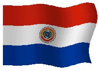 Vlag van Paraguay